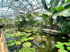 -国家植物园南园