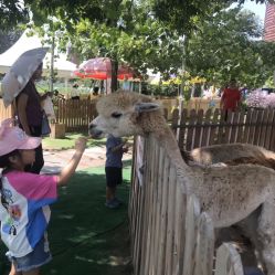 -萌宠亲子动物乐园(槐房万达店)