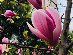 -重庆市江北嘴中央商务区中央公园