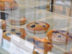 -Madeleine玛德琳(永平里店)