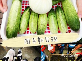 最近发现了一个超级无敌的遛娃宝地，特别适合家长们带孩