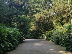 -菊花台公园