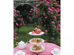 -上海神旺大酒店