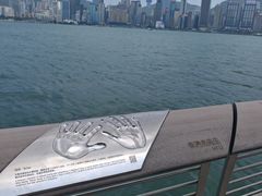 -星光大道