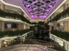 -广州白天鹅宾馆