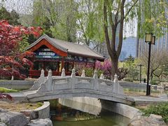 -西海子公园