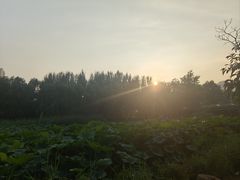 -前关湿地公园