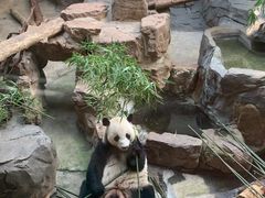 -南昌动物园