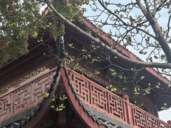 -堤角公园