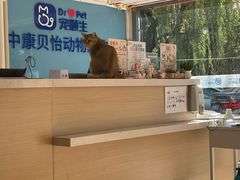 -宠颐生中康贝怡动物医院