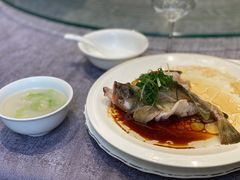 -新锦鸿(演达店)