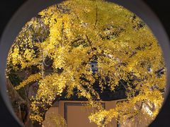 -无锡惠山寺