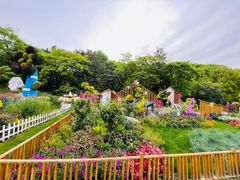 -上海共青森林公园