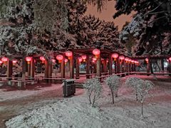 -东北大学(南湖校区)