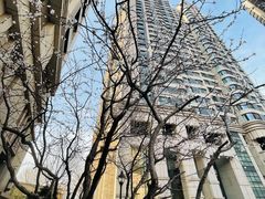 -津乐园(南北大街店)