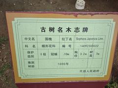 -代州文庙