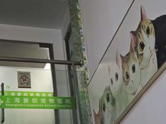-爱侣宠医·鹦鹉专科·小型哺乳类·异宠专科(灵石路店)
