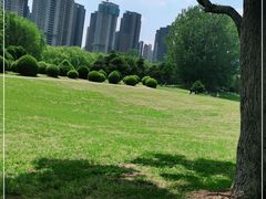 -长白岛森林公园