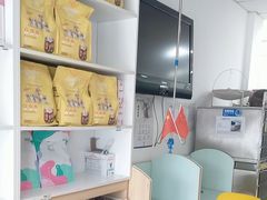 -宠福鑫康馨动物医院·骨科·眼科