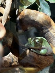 -Zoolung Zoolung动物主题公园(海信广场店)