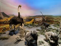 -国家自然博物馆