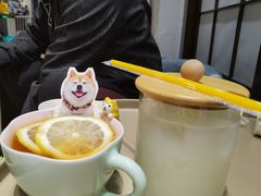 -逗柴咖啡屋·狗咖猫咖宠物桌游