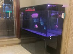 -民族饭荘(新华大街店)