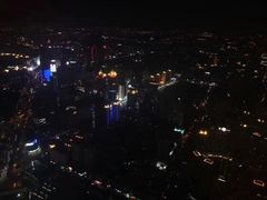 -The lounge 柏悦酒店大堂酒廊(上海环球金融中心店)