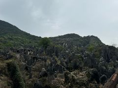 -玉石林风景区