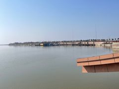 -洪湖湿地生态园
