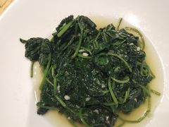 -沪碟·精菜坊(闵行店)