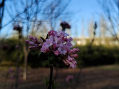 -北极寺公园