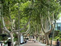 -西安电影制片厂