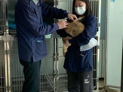 -乐宠动物医院