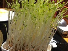 -川中故事·成都老火锅(东书房店)