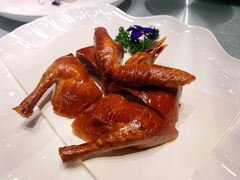 妙龄乳鸽-常来小聚(丰汇时代店)