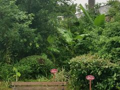 -天芳悦潭度假村温泉