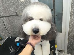 -宠物家(长阳店)