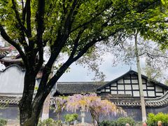 -宝光寺