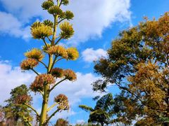 -昆明市金殿名胜区