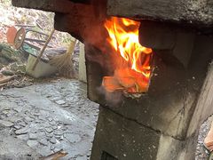 -宁波浙东大竹海景区