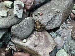-双龙峡