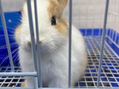 -青石桥花鸟鱼虫市场(叠翠城店)