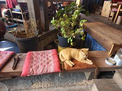 -马灯部落·西湖边的创意山景餐厅(虎跑动物园店)