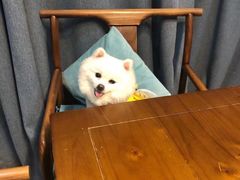 -伽利略剧本探案馆(国贸店)