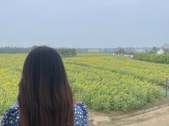 -杭州湾海上花田景区