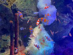 -沈阳海洋探索中心