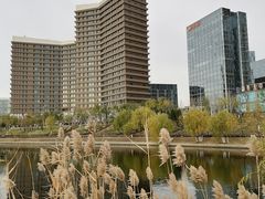 -西海子公园