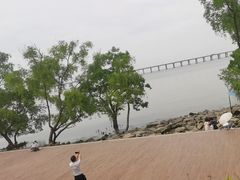 -宝安西湾红树林湿地公园