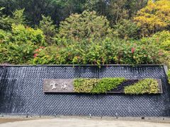 -云溪植物园